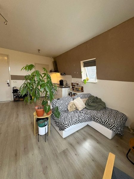 Nieuwe Boteringestraat