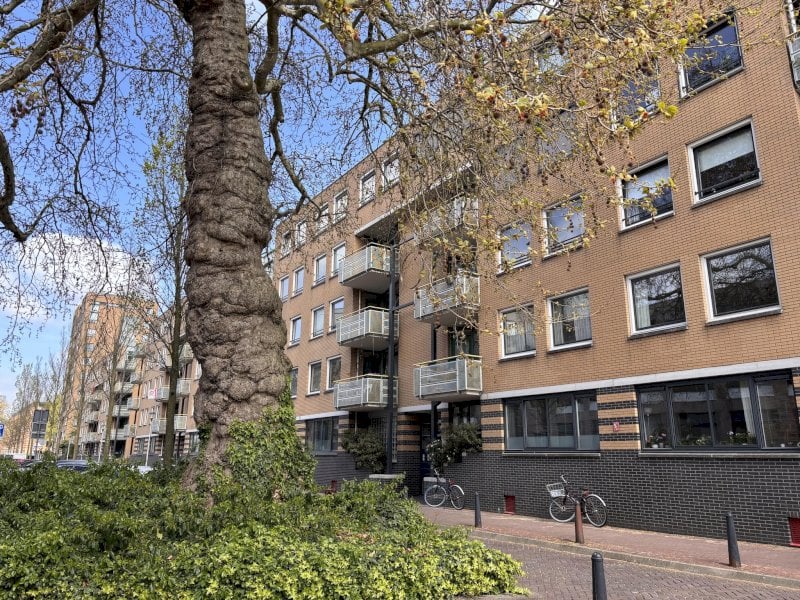 Arthur van Schendelstraat